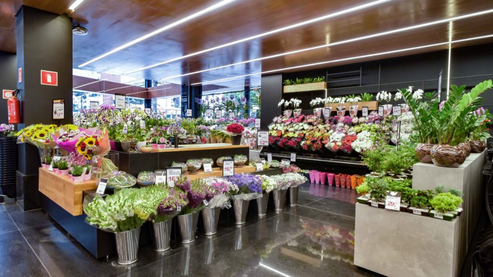Como está o mercado de plantas na pandemia?