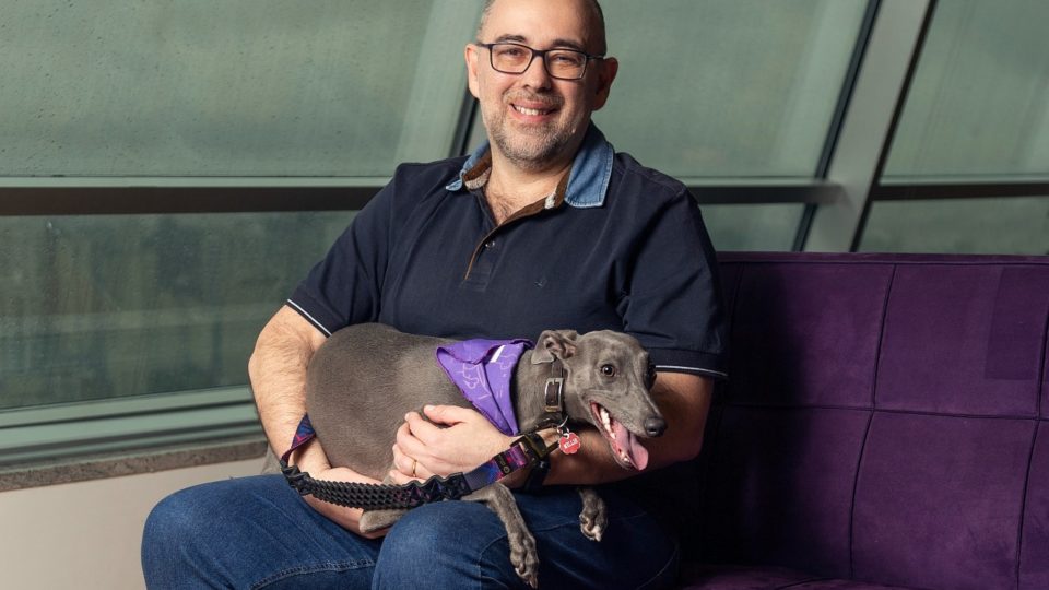 Em agosto, startups brasileiras captaram US$ 772 milhões em investimentos CEO PetLove