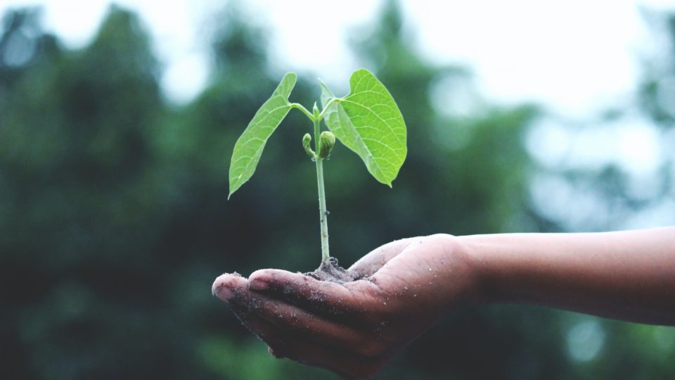 Estamos preparados para medir o progresso das nossas ações de sustentabilidade? Estamos preparados para medir o progresso das nossas ações de sustentabilidade?