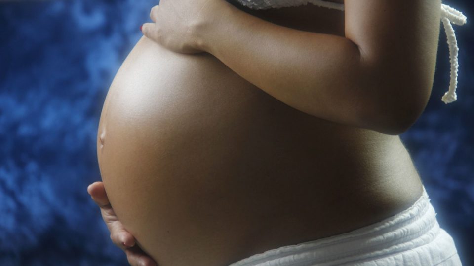 Fortaleza aprova lei para informar sobre riscos do aborto e cuidados na gestação Lei 11.159/2021 foi sancionada pelo prefeito de Fortaleza