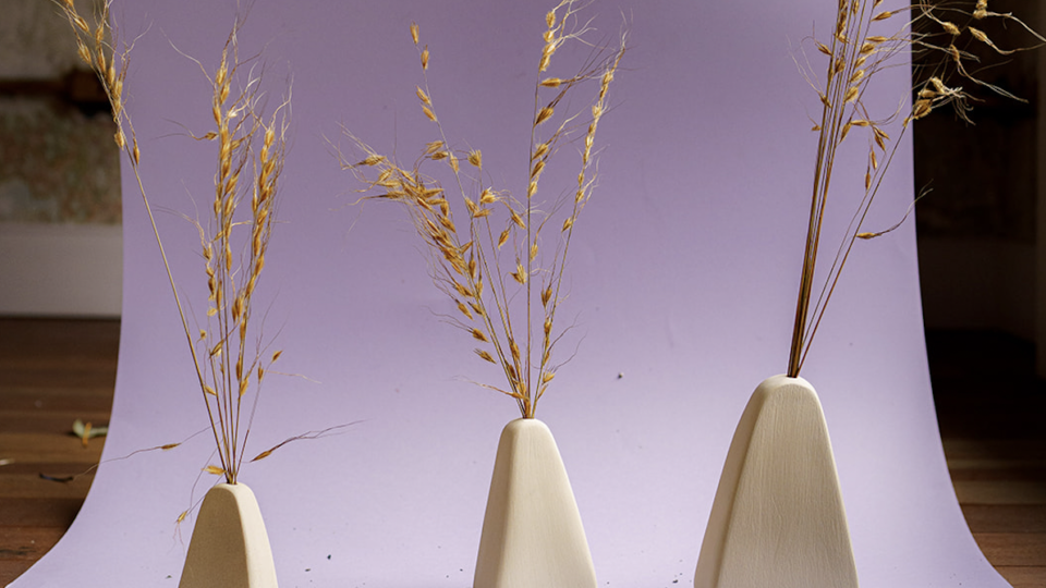 Quatro lugares para comprar plantas e flores em Curitiba plantas e flores em curitiba