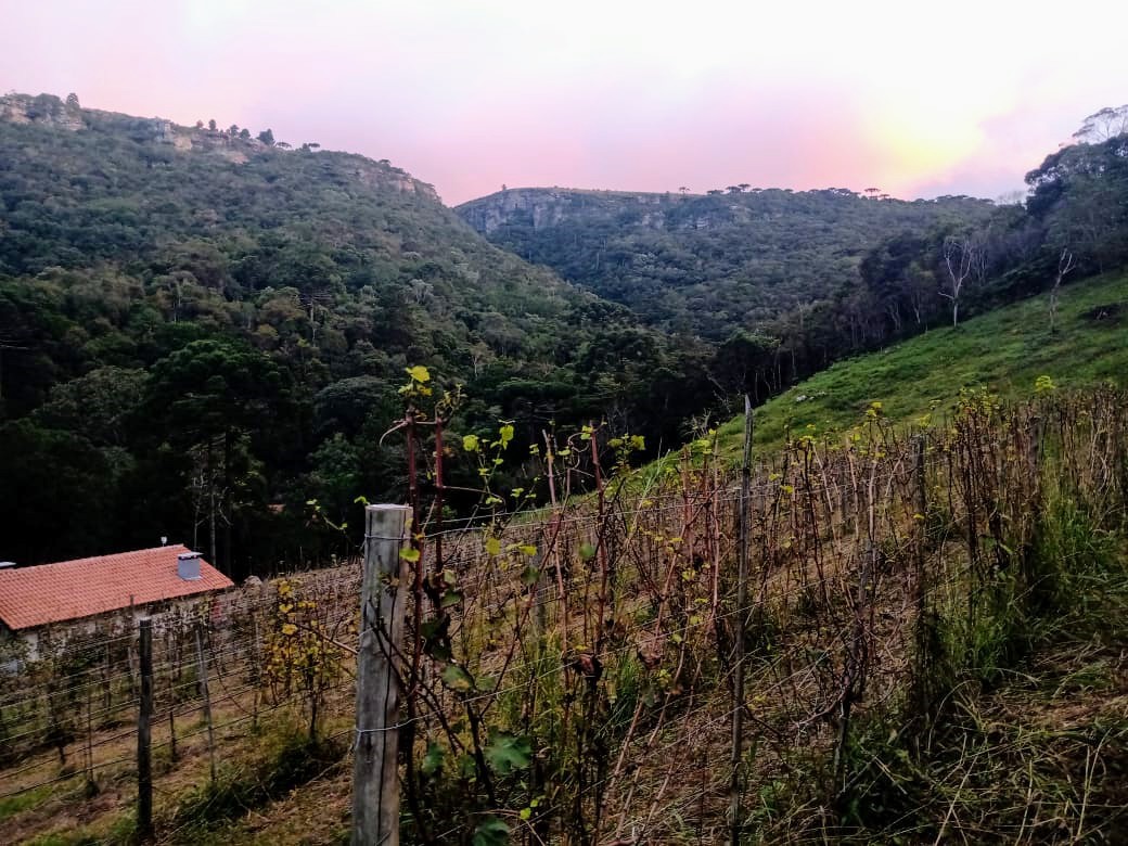 Na foto, as montanhas da vinícola Unus Mundus. Na foto, as montanhas da vinícola Unus Mundus.