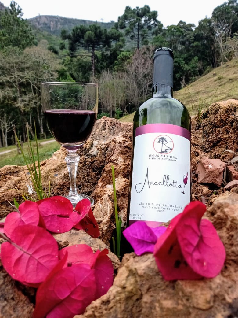 Na foto, um dos vinhos tintos produzidos na vinícola. Na foto, um dos vinhos tintos produzidos na vinícola.