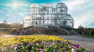Início da primavera chega com clima de renovação em Curitiba Início da primavera chega com clima de renovação em Curitiba