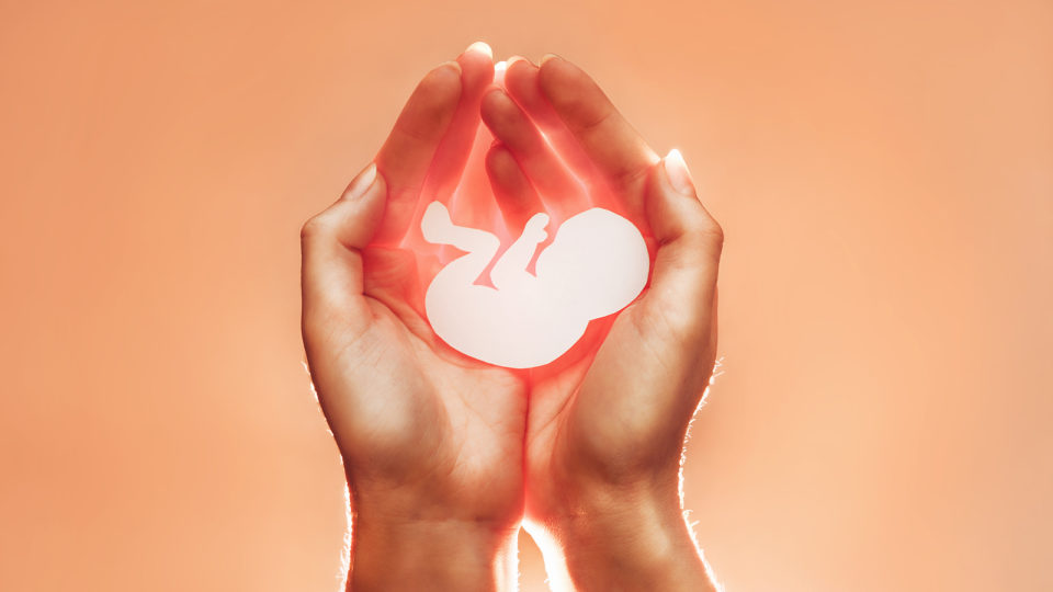 Grupo pró-vida processa Ministério da Saúde por omissão sobre teleaborto teleaborto