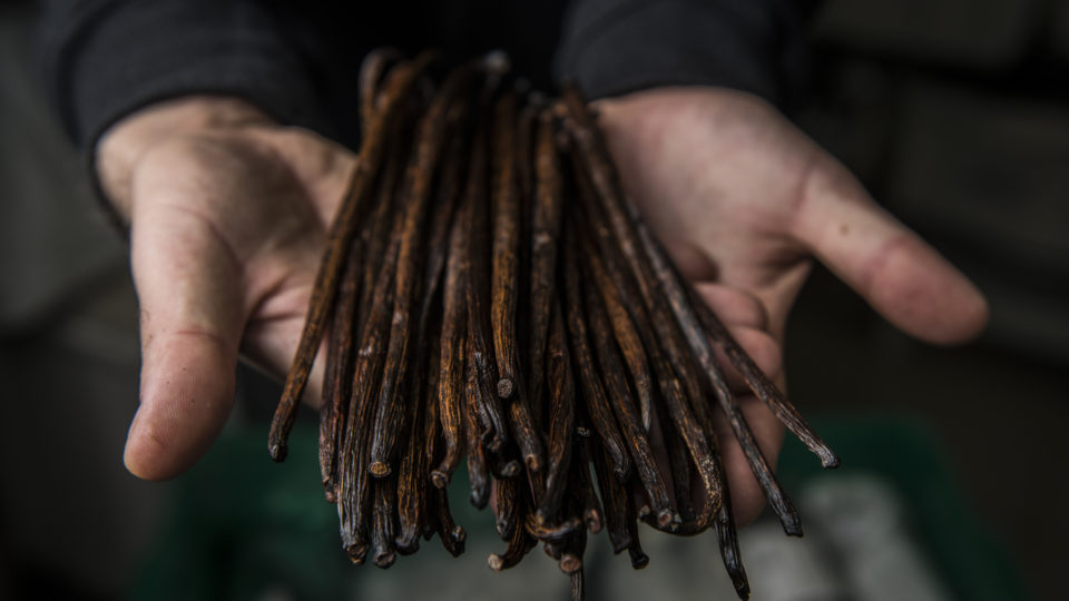 Loja oferece temperos e condimentos garimpados a dedo em mais de 70 países Cipria especiarias