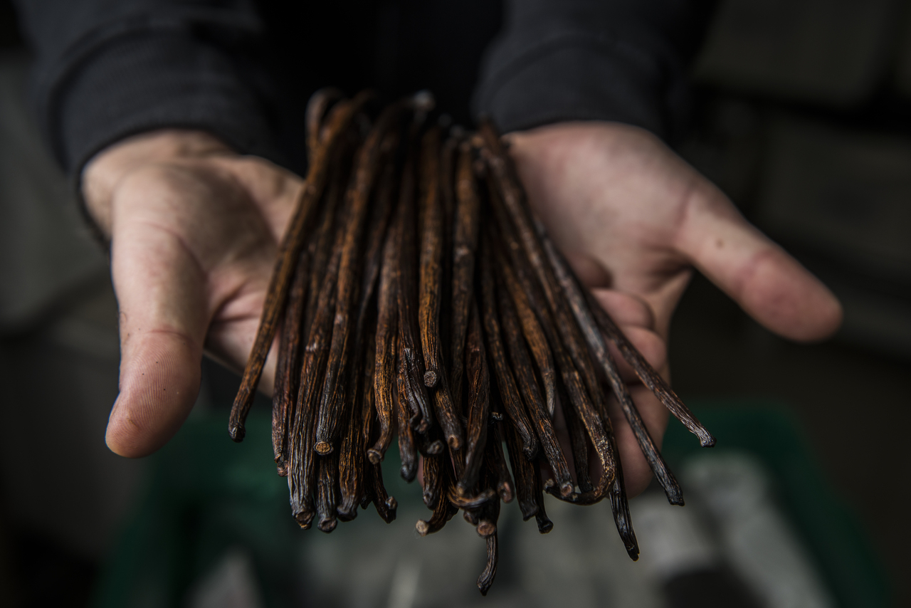 As favas de baunilha africanas foram o pontapé do Cipria, há 11 anos.