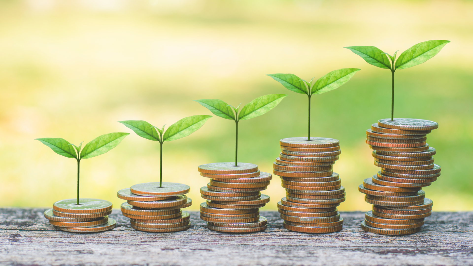 Responsabilidade ecológica é apenas um dos pontos avaliados para os fundos ASG/ESG.