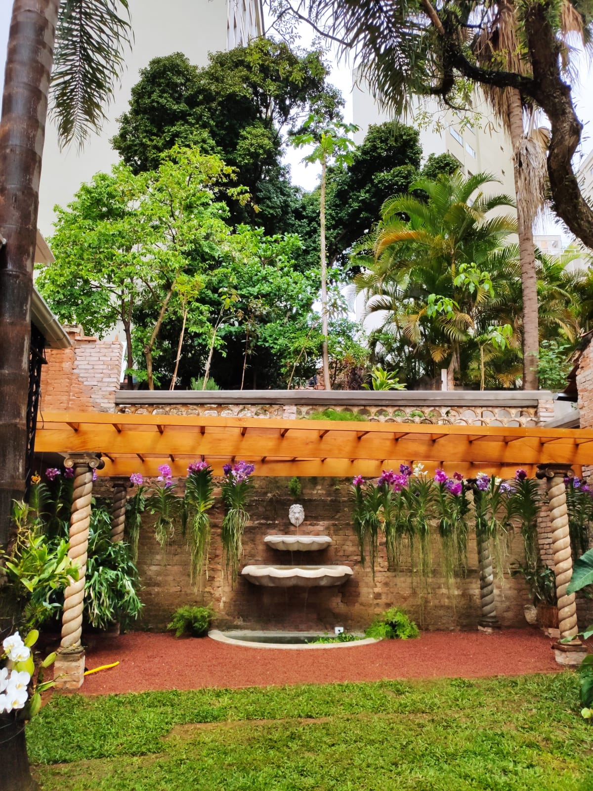 Terreno de 2 mil m² tem orquidário com plantas suspensas e fonte de água. Terreno de 2 mil m² tem orquidário com plantas suspensas e fonte de água.
