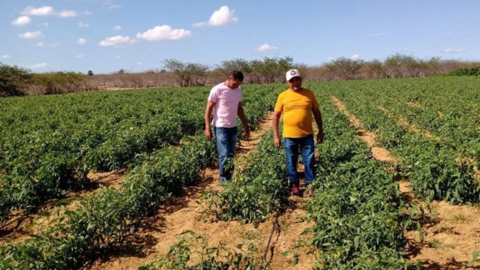 Governo federal acelera concessão de títulos a produtores rurais; MST é contrário Agricultores do assentamento Baixa do Novilho, em João Câmara (RN). Famílias receberam Títulos de Domínio em agosto