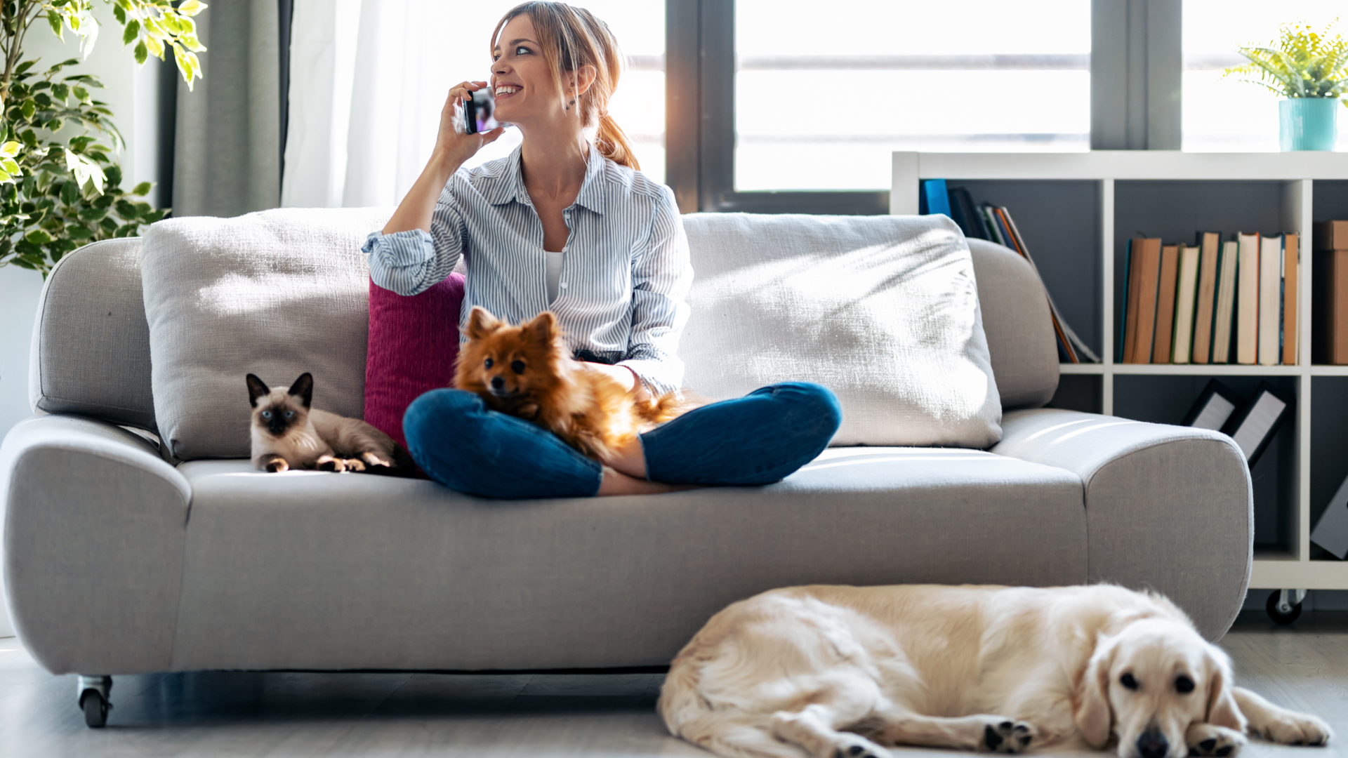 Receber um novo animal de estimação no seu apartamento requer medidas de cuidados e segurança.