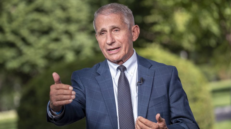 Questões Anthony Fauci, diretor do National Institute of Allergy and Infectious Diseases (Niaid) do governo norte-americano.