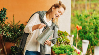 5 dicas para quem quer ter planta em casa + 12 plantas para decorar o apartamento Cuidar das plantas pode trazer muitos benefícios, como redução de estresse e melhoria da sensação de bem-estar.