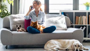 7 dicas de como adaptar o apartamento para ter maior segurança e comodidade com os pets Receber um novo animal de estimação no seu apartamento requer medidas de cuidados e segurança.