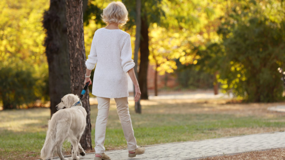 Conheça 4 benefícios de morar próximo à natureza para sua qualidade de vida Morando perto de um parque, você se conecta mais com a natureza e se motiva para fazer atividades físicas.
