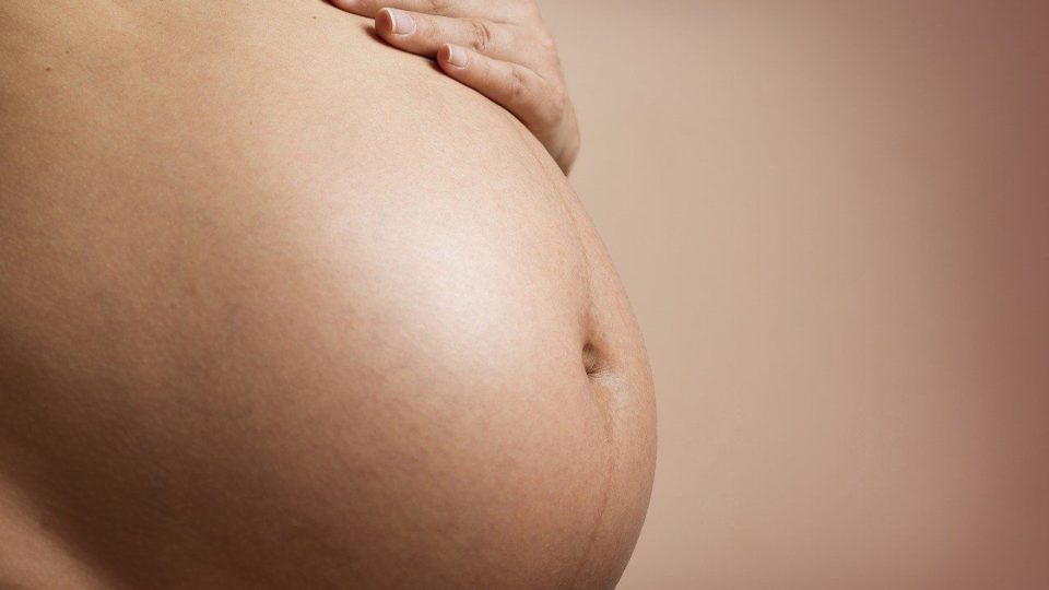Quando o Homo eroticus substitui o Homo sapiens “A aversão à reprodução que domina hoje nossa cultura começa com a rejeição à maternidade. Numa inversão insidiosa, o movimento que nasceu para valorizar a mulher trabalhou para destruir a principal característica que a diferencia do homem”.