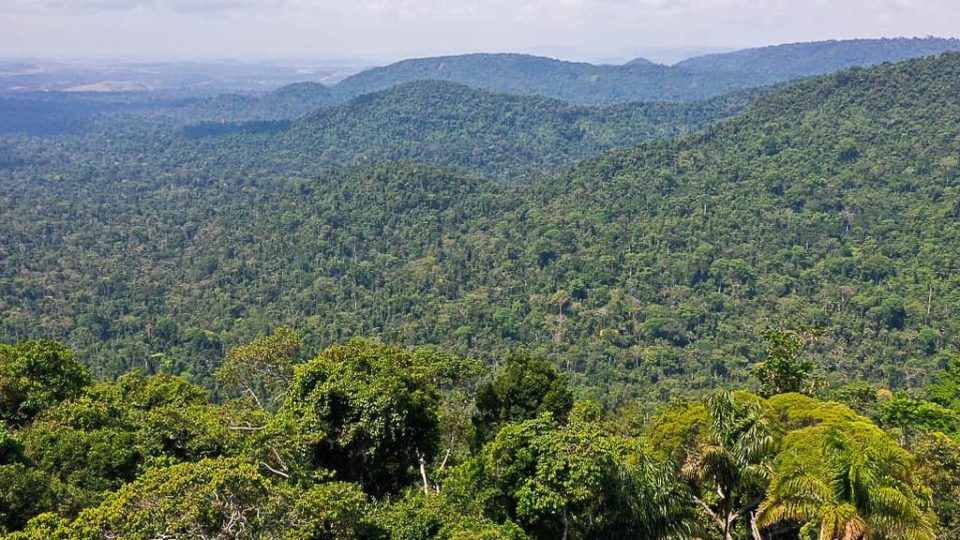 Brasil não pode carregar a culpa do mundo pelos problemas ambientais A Floresta Nacional de Carajás, no sudeste do Pará, na Amazônia: O Brasil é onde se pode estudar, aprender e encaminhar soluções sobre a conservação do meio ambiente.