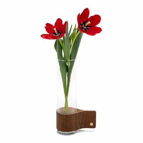 primavera primavera