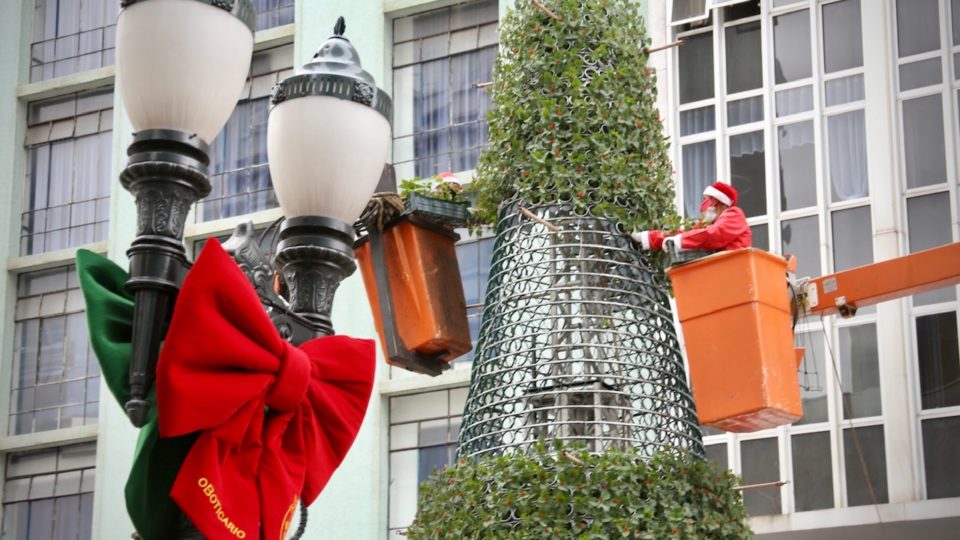 Rua XV ganha árvore de Natal “viva” formada por 11 mil vasos de sálvias Montagem da árvore “viva”, com sálvias envolveu equipe com 20 pessoas.
