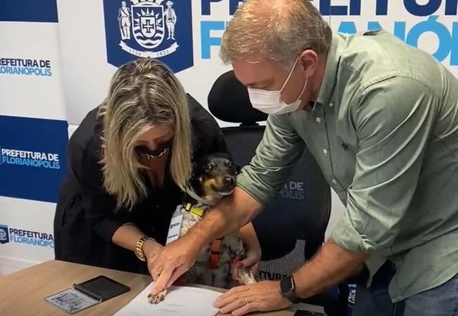 Cachorra Many "assina" projeto de lei ao lado do prefeito e de vereadora de Florianópolis