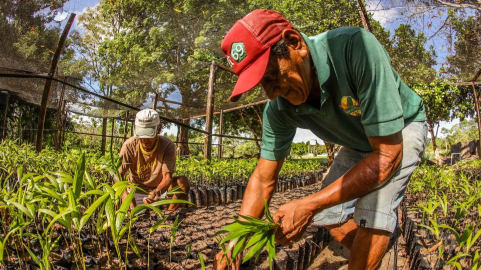 O que vem sendo feito na Amazônia e quase ninguém fala Amazônia