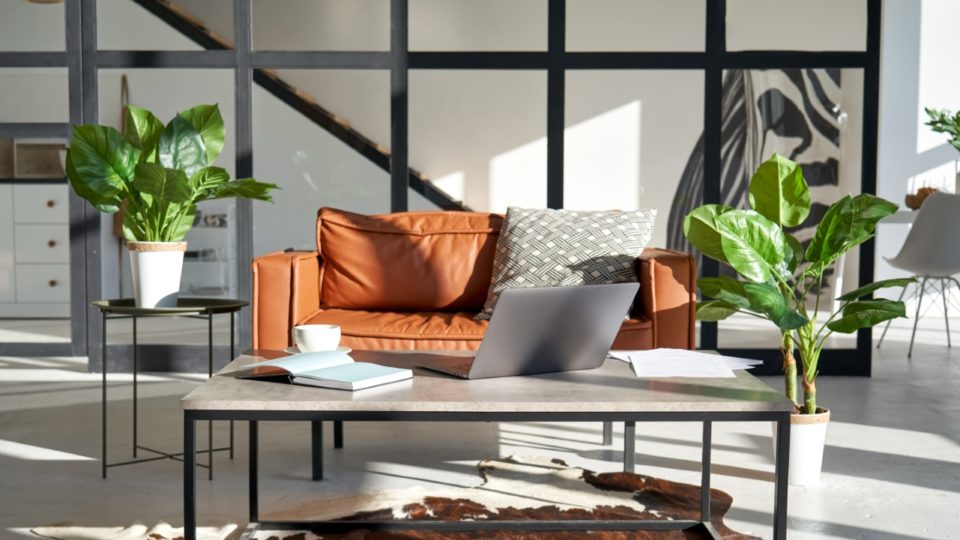 Dicas de decoração para aproveitar a temporada de calor As plantas renovam o ambiente e trazem bem-estar.