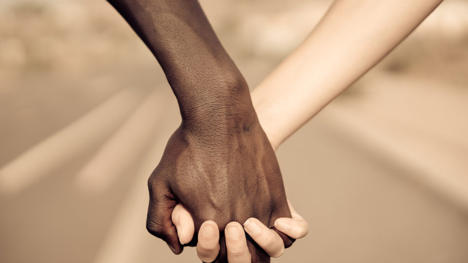 Cotas raciais agora são obrigatórias no Brasil No Dia da Consciência Negra, uma agência de checagem usou e abusou da etimologia criativa a serviço da militância.