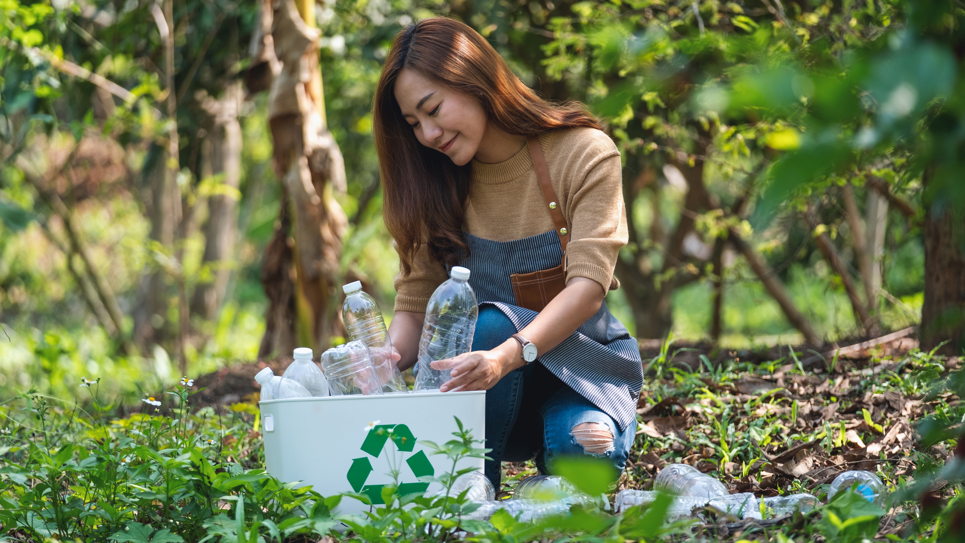 Do plantio da matéria-prima à venda das refeições, é possível ser sustentável em todas as etapas da preparação de alimentos.