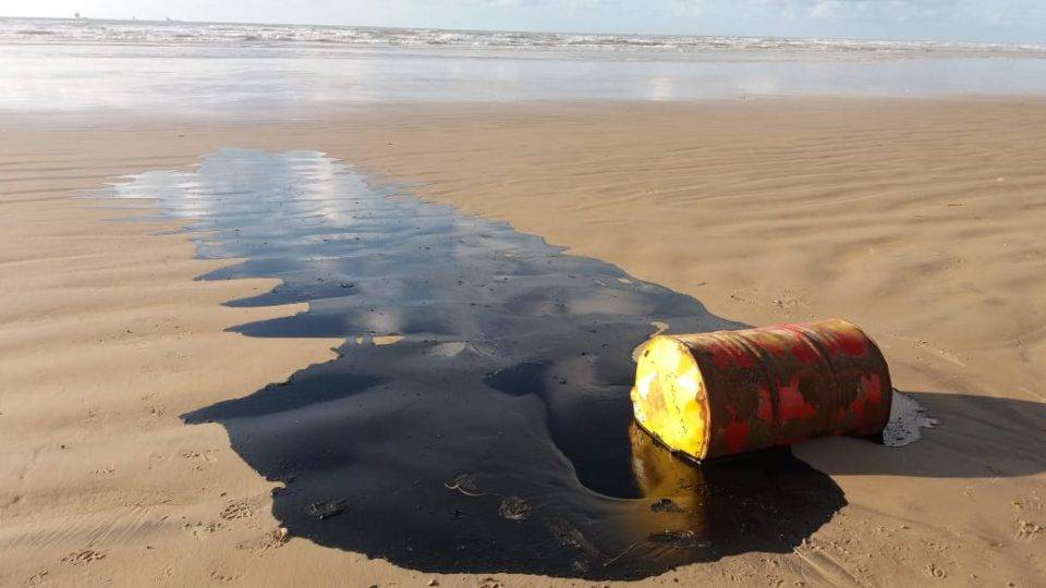 PF indicia empresa grega por vazamento de óleo no litoral em 2019 Manchas de óleo apareceram em praias do Nordeste em agosto de 2019.
