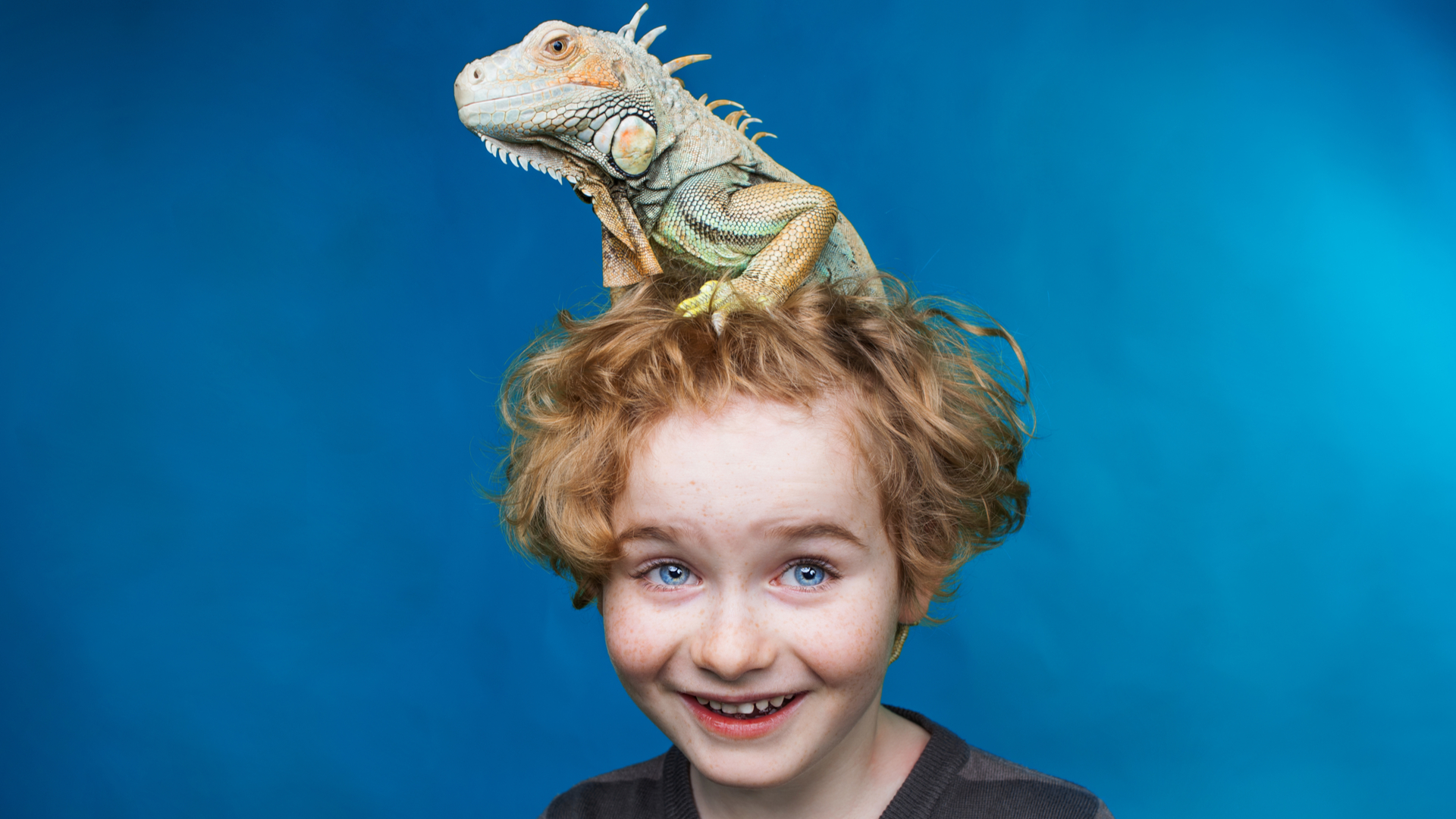 A única forma de adquirir um animal exótico legalizado é através de um criadouro ou estabelecimento autorizado pelo Ibama.