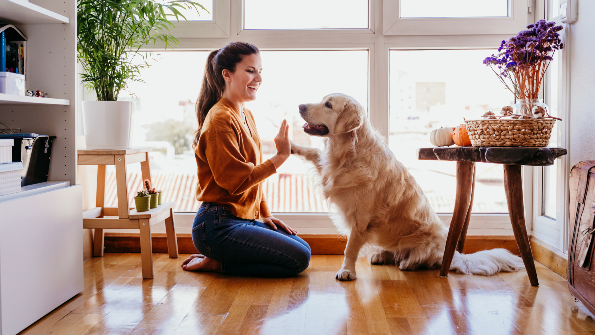 Participar de eventos é uma boa oportunidade para entender melhor o comportamento do seu pet.