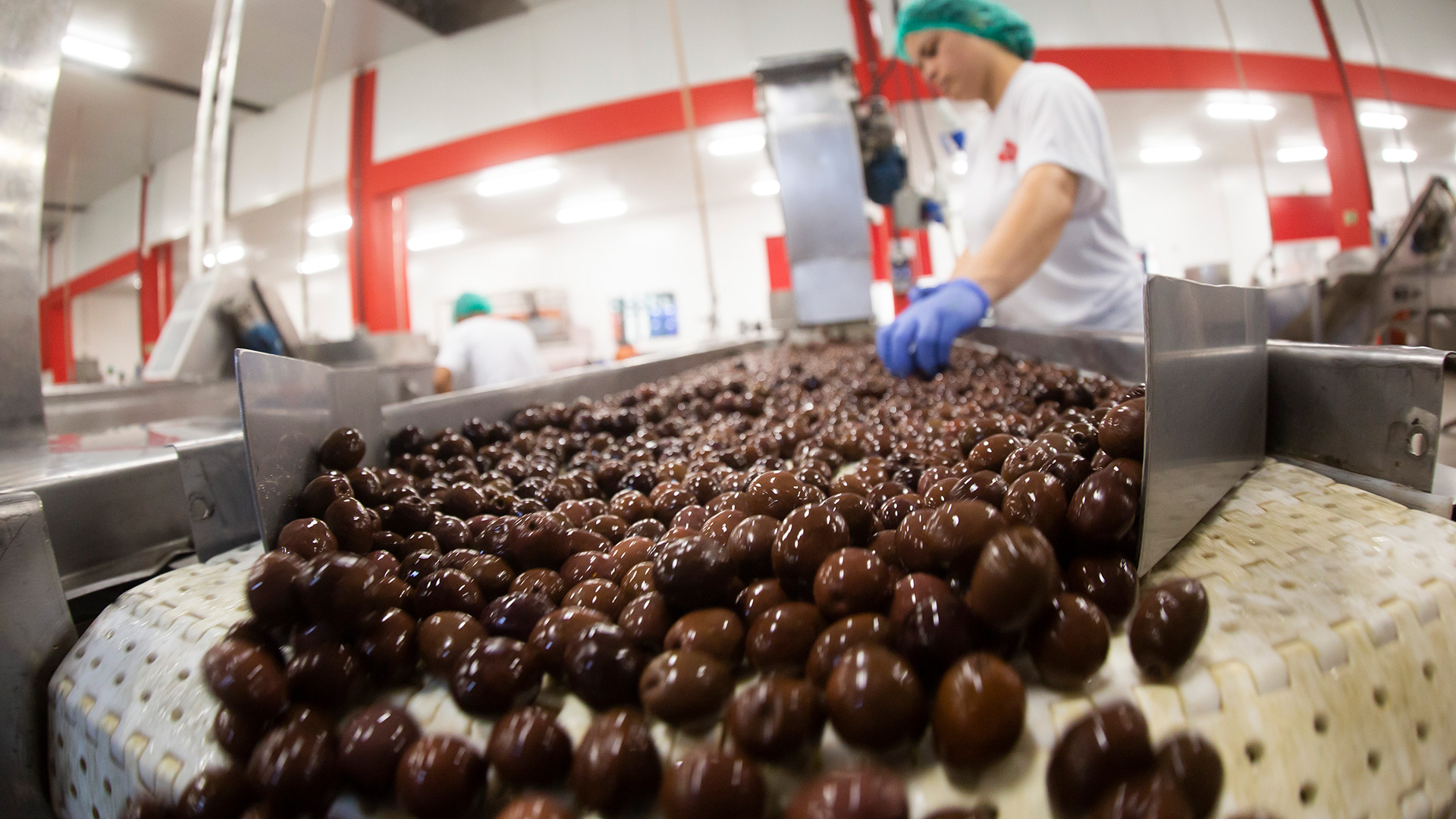 Empresas devem investir na melhoria de processos, redução de custos e aumento da capacidade