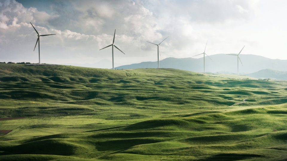 Conheça as startups brasileiras que trabalham para salvar o futuro do planeta Conheça as startups brasileiras que trabalham para salvar o futuro do planeta