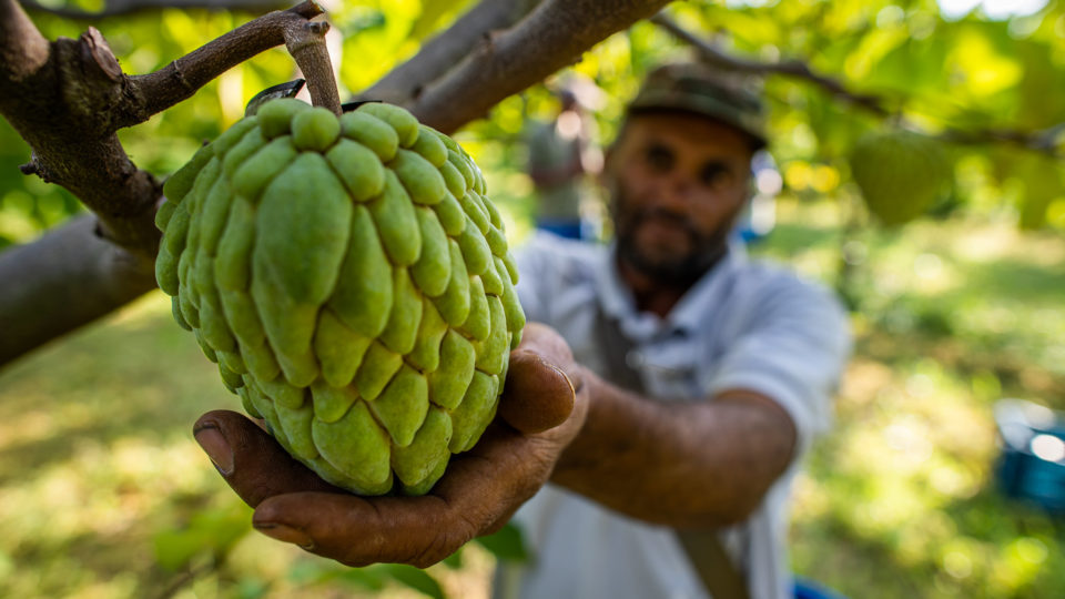 Com lei aprovada há um ano, pagamento a produtores rurais por serviços ambientais não avançou