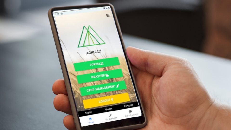 Cultivando plantações com dados e inteligência: Agrolly lança aplicativo para ajudar agricultores no Brasil Agrolly lança aplicativo com IA para ajudar agricultores no Brasil