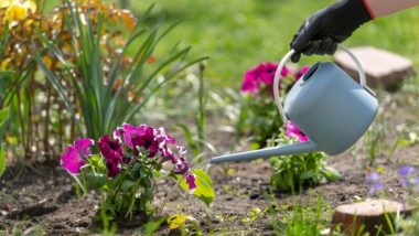 4 cuidados com suas plantas nos dias mais quentes Em épocas mais quentes
pode ser necessário aumentar
a frequência das regas.