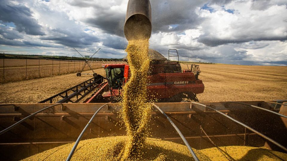 Planejamento e proteção ao agronegócio Planejamento e proteção ao agronegócio