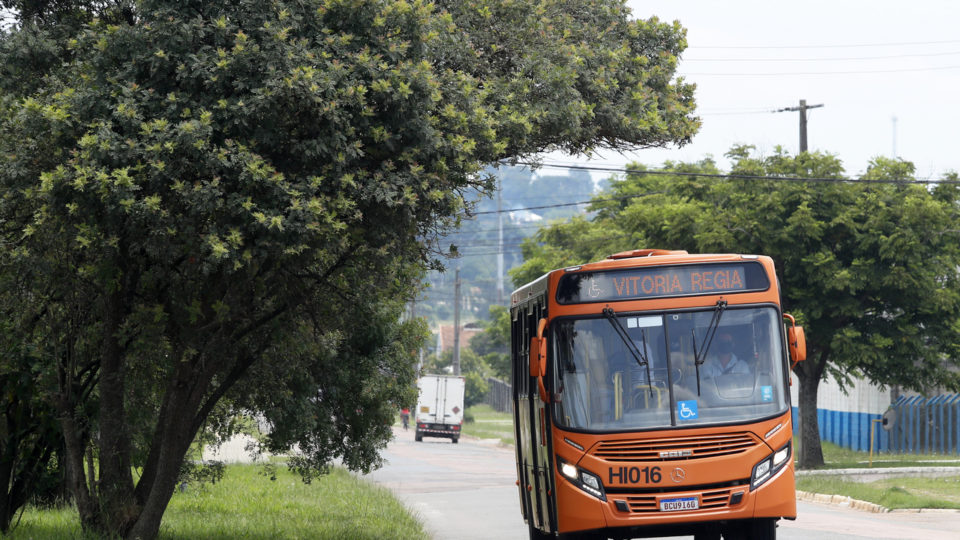 A decisão da prefeitura da capital tem o objetivo de garantir o acesso dos curitibanos aos locais de votação durante o primeiro turno de eleições