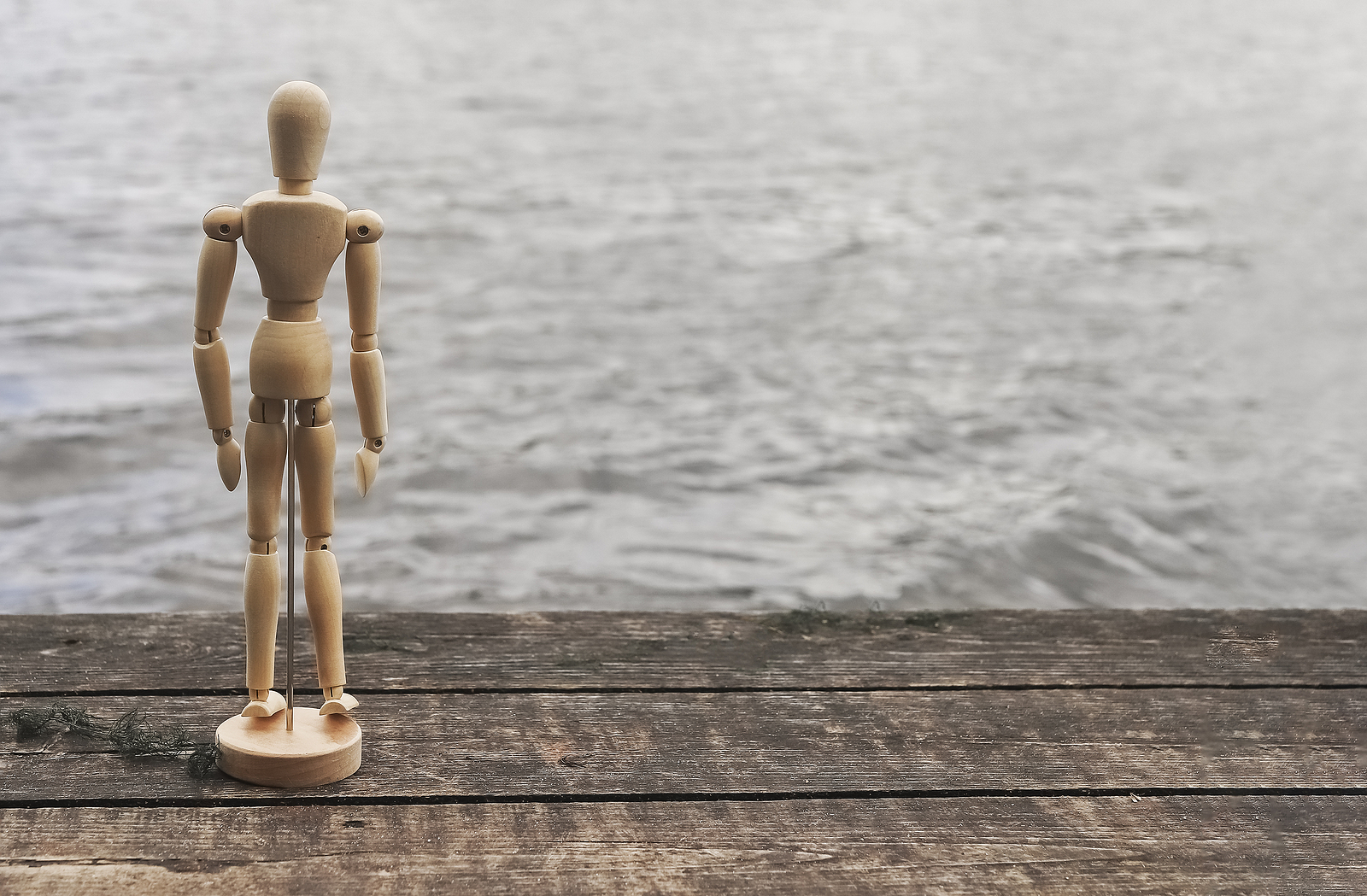 solteiros involuntários