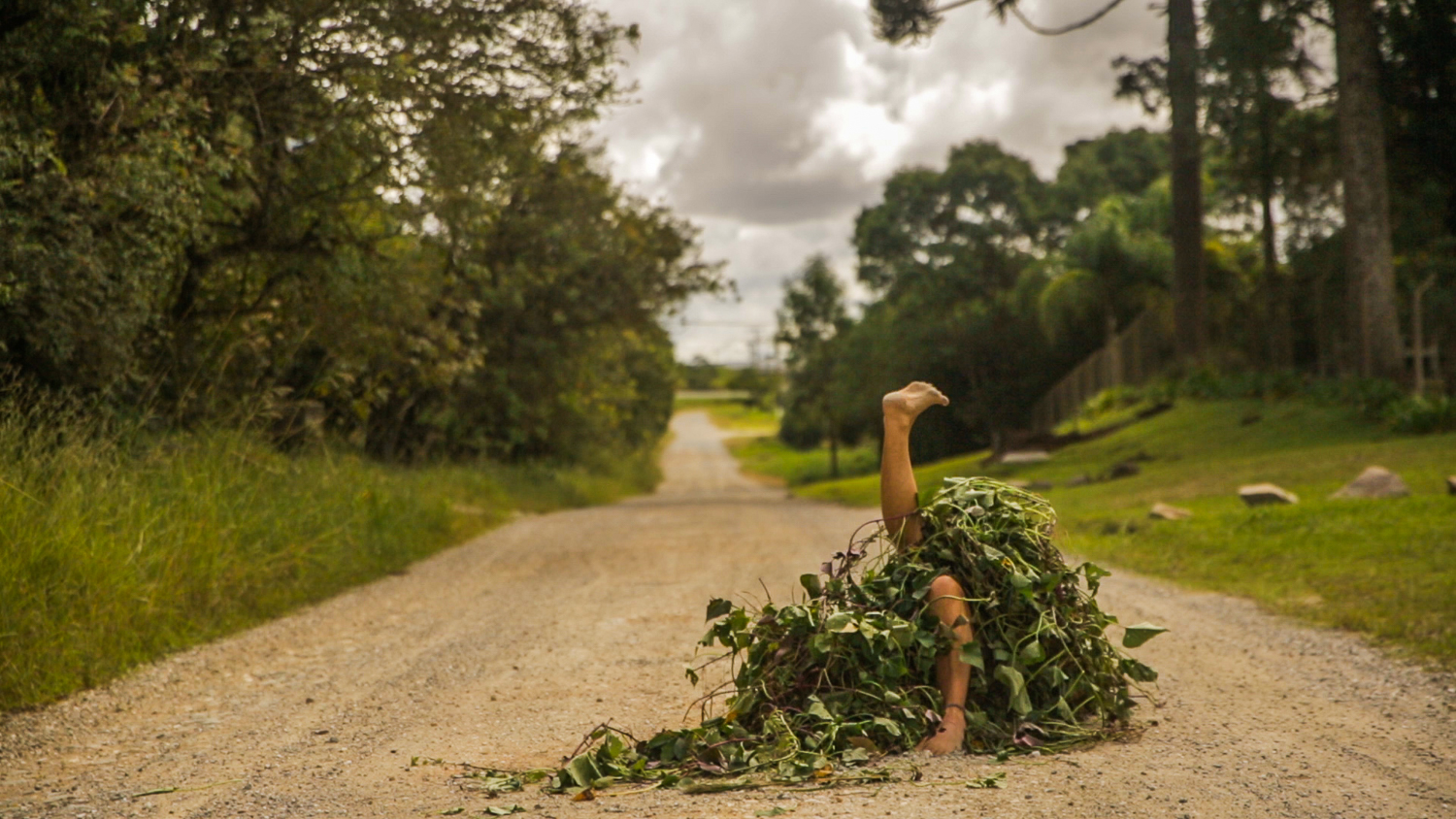 Performance Polvo, de Bia Figueiredo