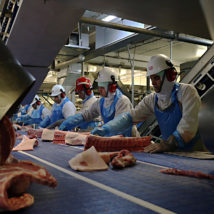 Exportações brasileiras de carne para a UE podem ser interrompidas a partir de setembro Imagem referente a matéria
