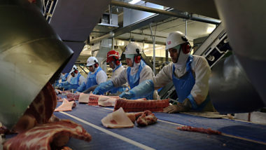 carne União Europeia