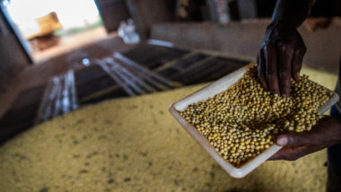 Depois de logística e fertilizantes, o novo desafio do agro: onde guardar a produção? Armazenagem safra
