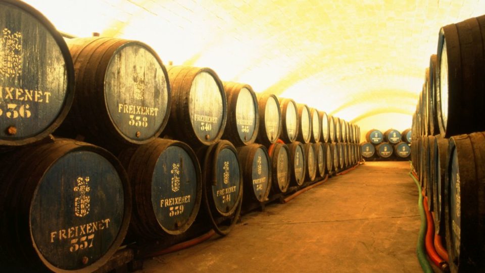 Descubra os cavas, primos espanhóis do champagne francês Cavas Espanha