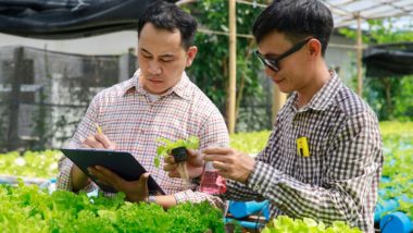 Como as empresas tradicionais de agronegócio podem se desenvolver com as inovações trazidas pelas agtechs O que as empresas tradicionais de agronegócio têm a aprender com as agtechs