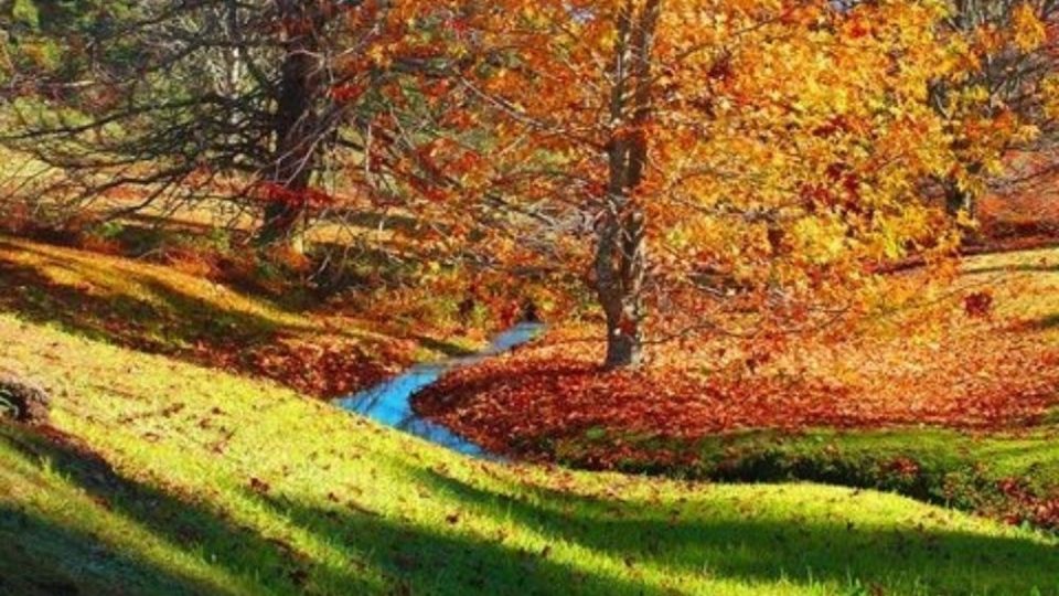 Os jardins no outono Os jardins no outono