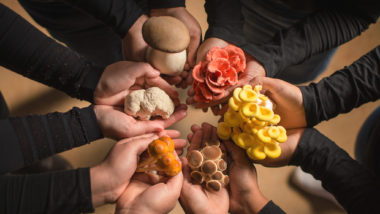Paranaense se destaca na produção de diversos tipos de cogumelos Algumas das variedades produzidas pela Hopen Cogumelos, em Arapoti: salmão, citrino, pioppino, chestnut, juba-de-leão e eryngui.