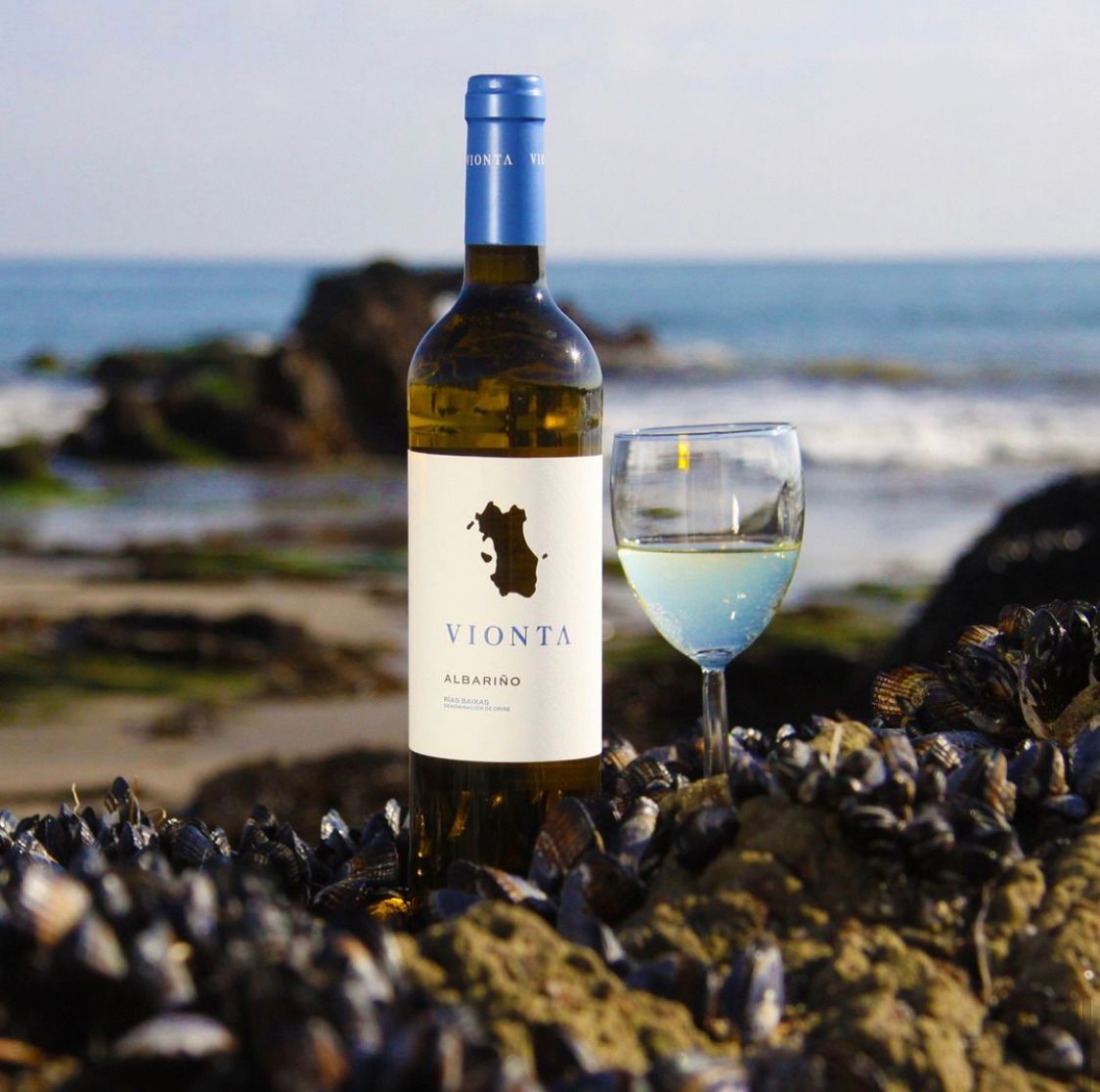 roteiro de vinho pela Espanha roteiro de vinho pela Espanha