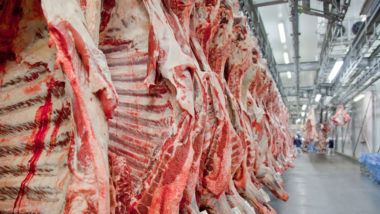 China suspende compra de carne de unidades da JBS, Marfrig e Naturafrig por uma semana Suspensão passa a valer a partir deste sábado (16)