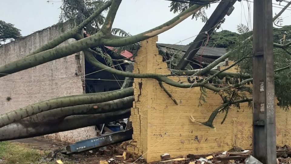 Temporal deixa 473 mil casas sem energia no Paraná Estragos provocados pela chuva na cidade de Maringá.